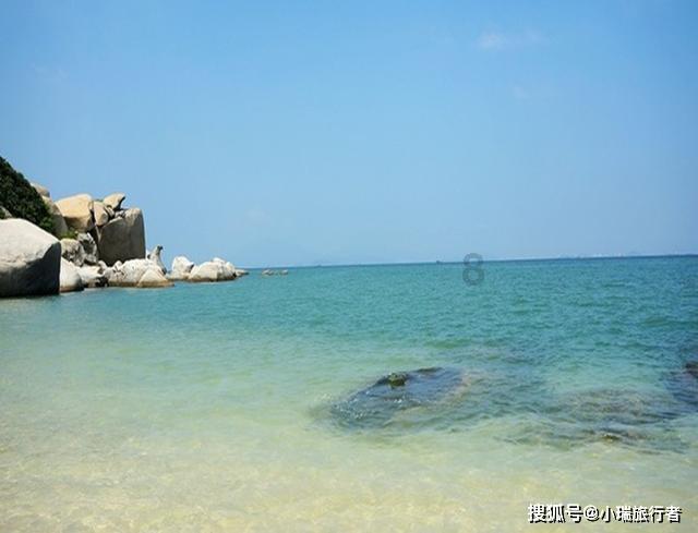动物帮帮忙保卫家园