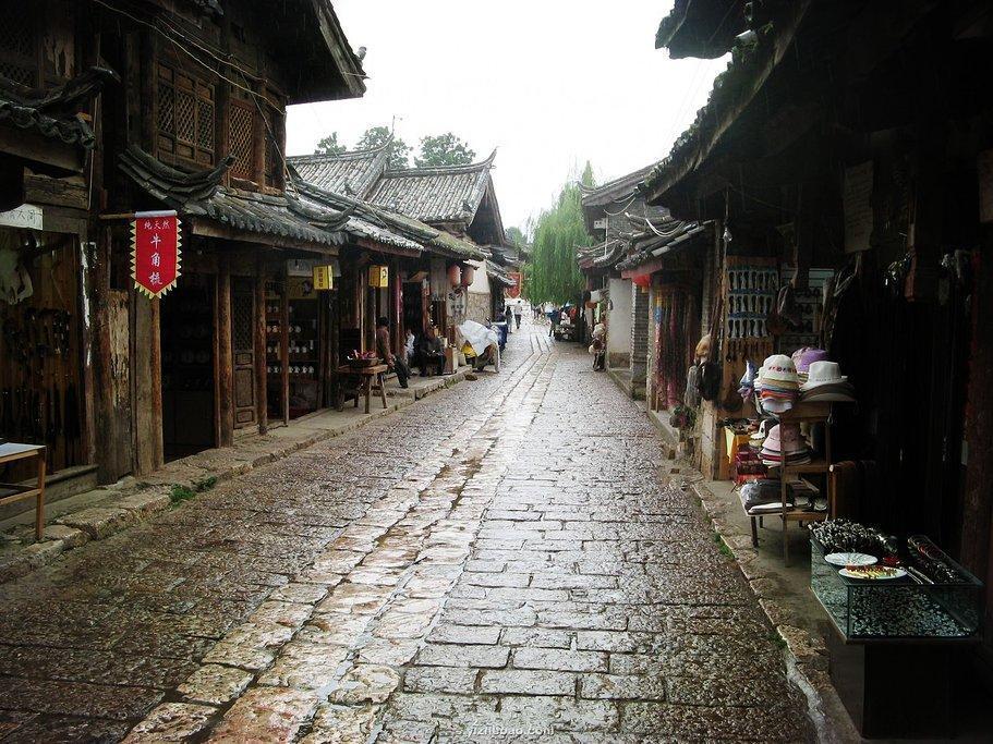 最美山外大人 ▏姜燕:初心不染,一片丹心向阳开